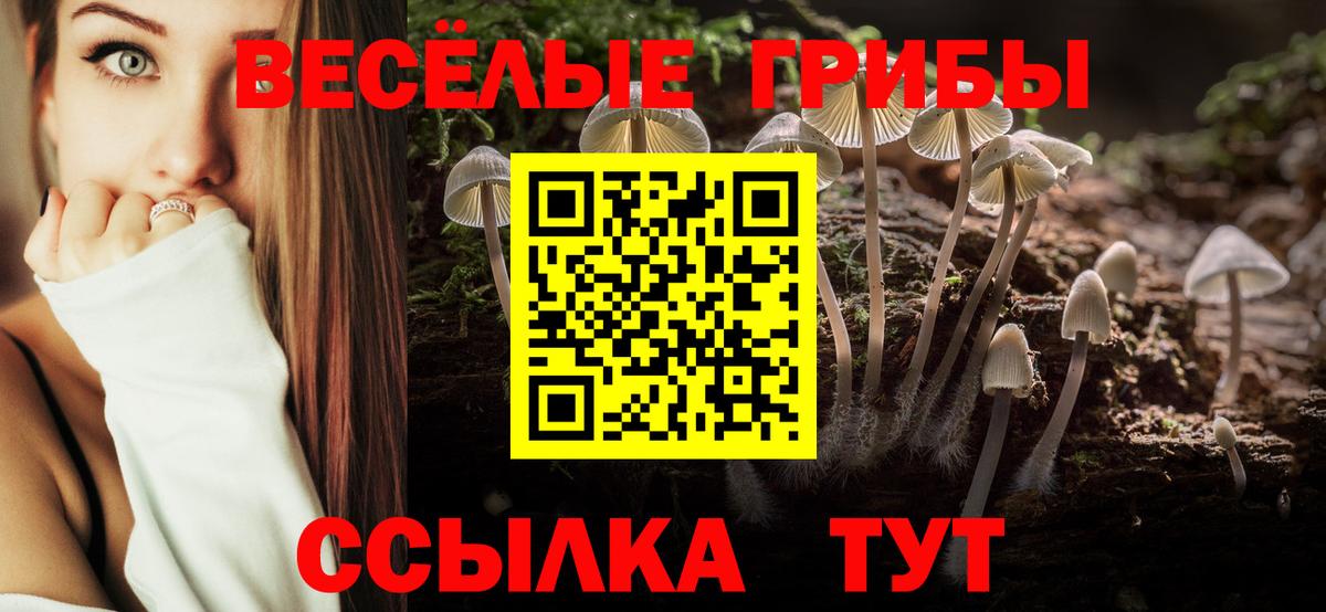 Псилоцибиновые грибы MAGIC MUSHROOMS Королёв