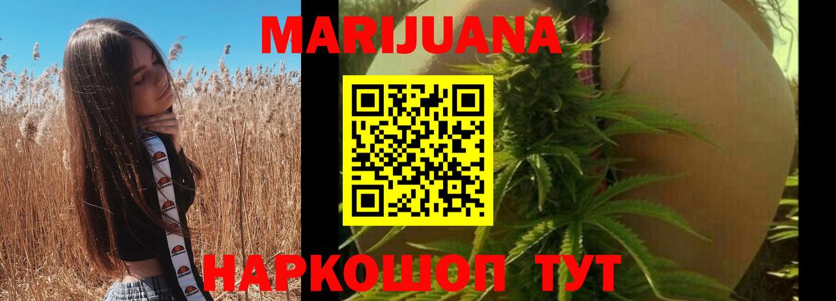 Конопля планчик Королёв
